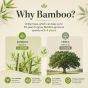 Bamboo Toilet Paper