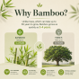 Bamboo Toilet Paper