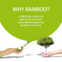 BAMBOO TP - 6 Rolls Pack